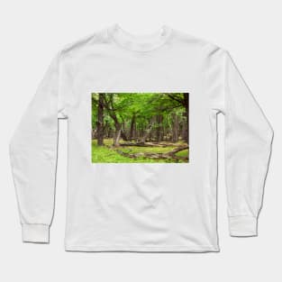 Silence in a timeless forrest Long Sleeve T-Shirt